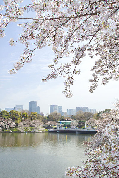 Tokyo  Hauptstadt  Honshu  Japan