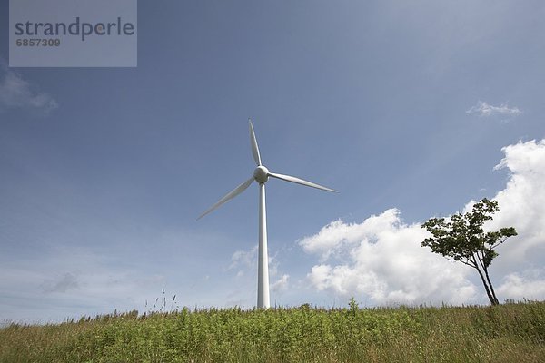 Windturbine Windrad Windräder Japan