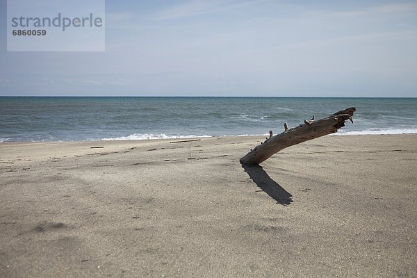 Strand Chiba Treibholz Japan