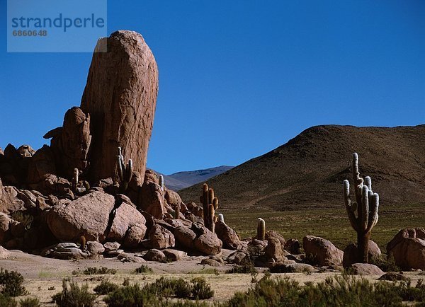 Argentinien  Jujuy Provinz  Südamerika