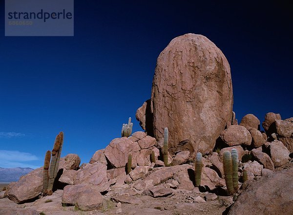 Argentinien  Jujuy Provinz  Südamerika