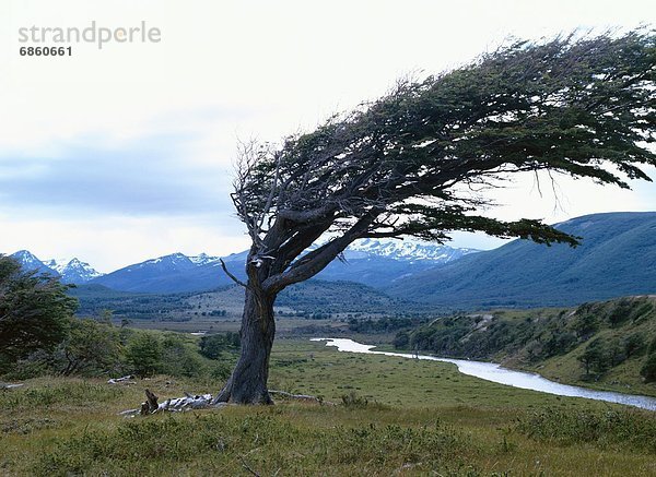 Feuerland  Tierra del fuego  Argentinien  Südamerika