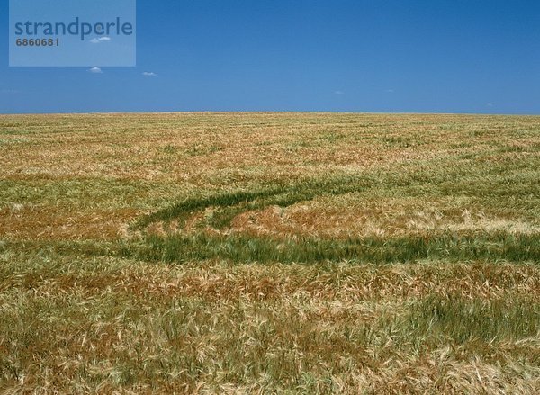 leer  Europa  Himmel  Feld  blau  Weizen  Deutschland