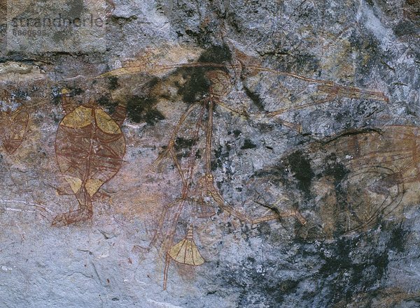 Steinmauer  Höhle  Gemälde  Bild  Australien