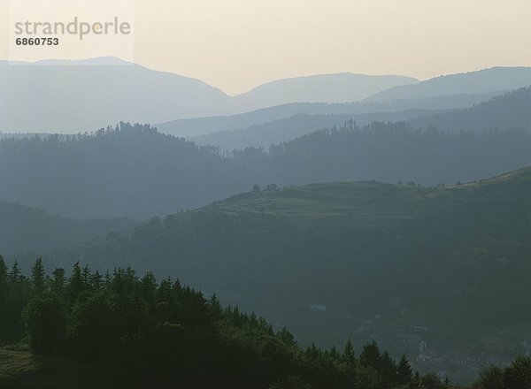 Gebirge  Frankreich  Berg  bedecken  Baum  über  Nebel  Vosges