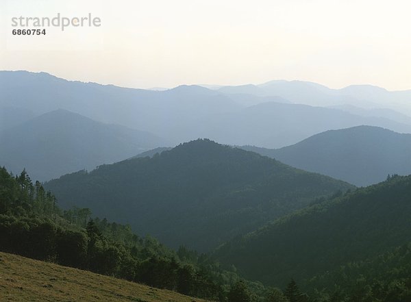 Gebirge  Frankreich  Berg  bedecken  Baum  über  Nebel  Vosges