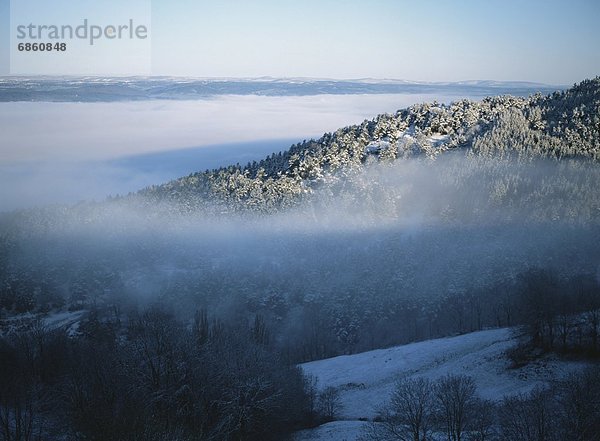 Frankreich  Berg  Winter  bedecken  Baum  über  Nebel  Auvergne