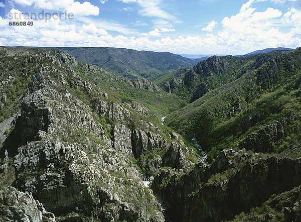 zwischen  inmitten  mitten  Frankreich  Berg  bedecken  Felsen  Baum  Tal  Auvergne