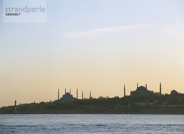 Truthuhn  Meer  Kapelle  Istanbul  Türkei