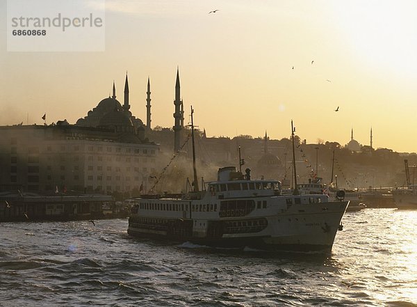 Truthuhn  Sonnenuntergang  Meer  Kapelle  Istanbul  Türkei