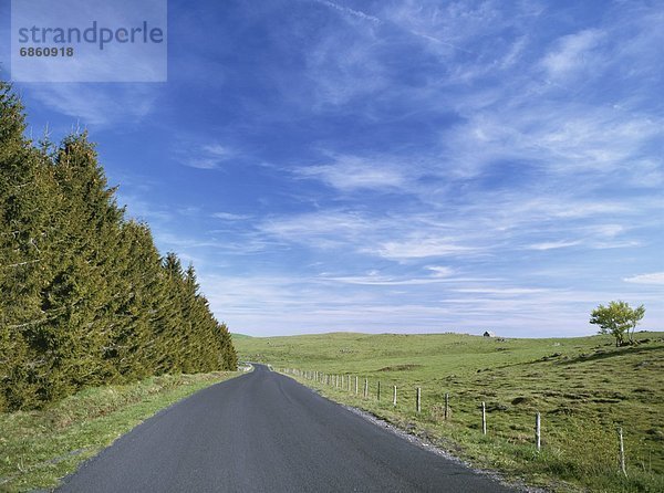 führen  Frankreich  Ländliches Motiv  ländliche Motive  Baum  Fernverkehrsstraße