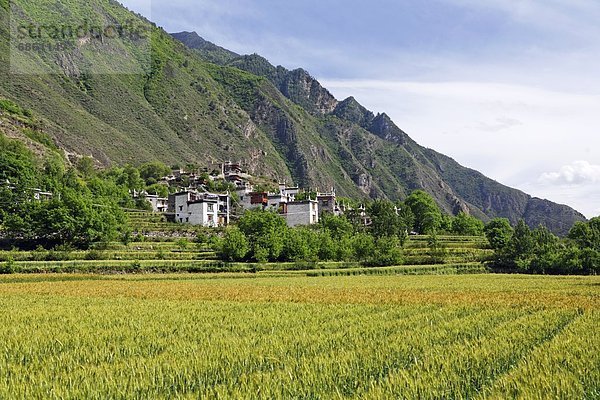 Berg Dorf Seitenansicht China Nestbau Tibet Sichuan