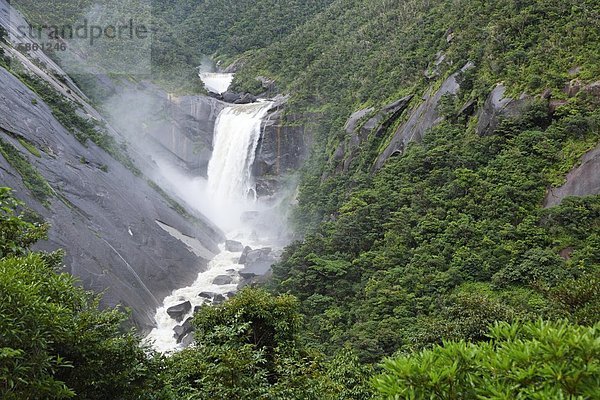 bedecken  Baum  Steilküste  Ehrfurcht  fließen  Wasserfall  Japan