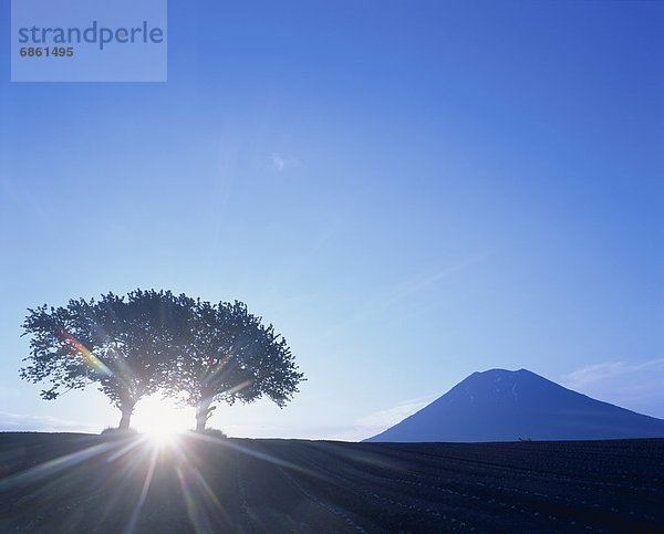 Morgen  über  aufwärts  Berg  Hokkaido  Japan  Sonne