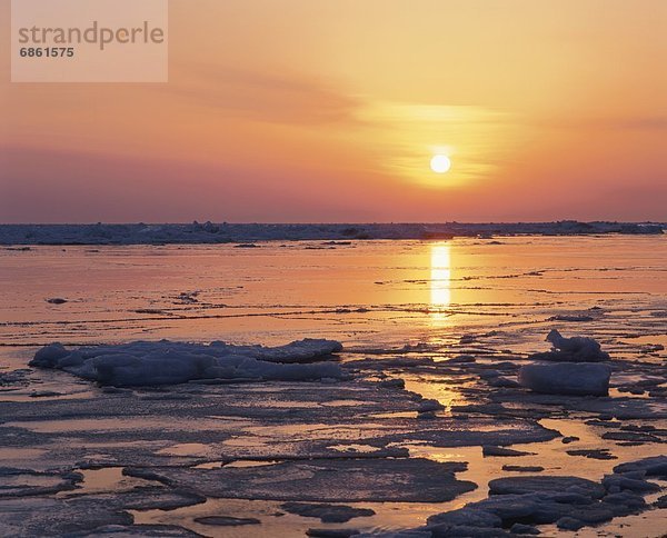 Morgen  über  Ozean  Eis  dahintreibend  Hokkaido  Japan  Sonne