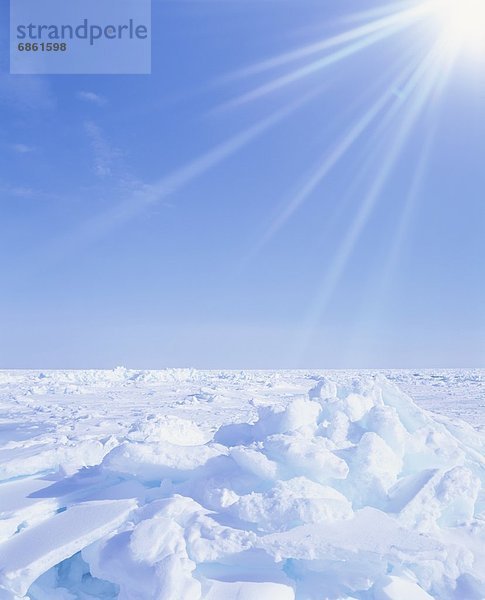beleuchtet  Eis  dahintreibend  Sonnenlicht  Hokkaido  Japan