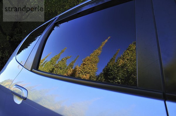 Fenster  Auto  Baum  Spiegelung