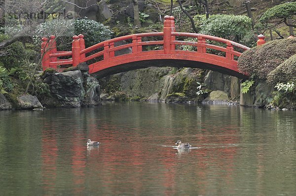 Fußgängerbrücke  Garten