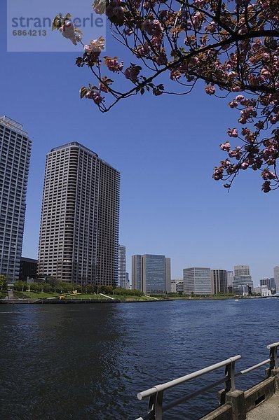 Fluss  Apartment  Sumida