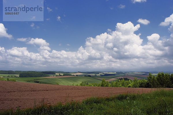 Landschaftlich schön  landschaftlich reizvoll  Feld