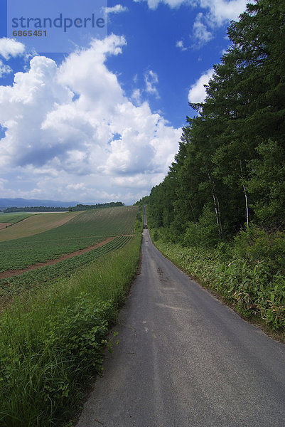 Fernverkehrsstraße  Wald