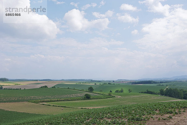 Landschaftlich schön  landschaftlich reizvoll  Feld