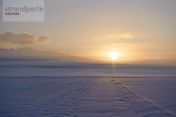 Schneedecke  Morgen  Landschaft