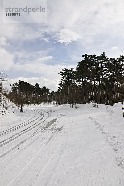 Ländliche Straße im Winter