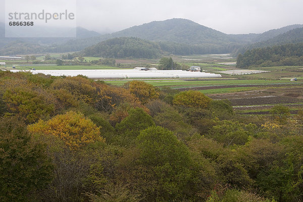 Feld  Hochebene