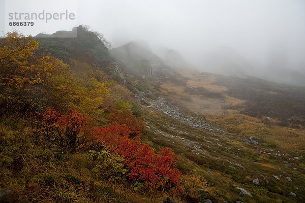 Berg  Nebel