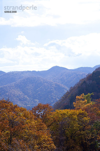 Berg  Herbst