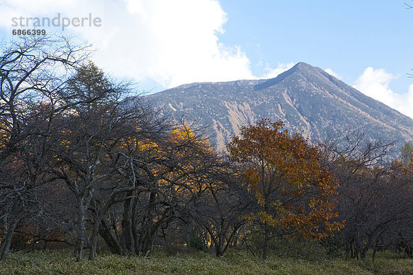 nahe  Berg  Sumpf