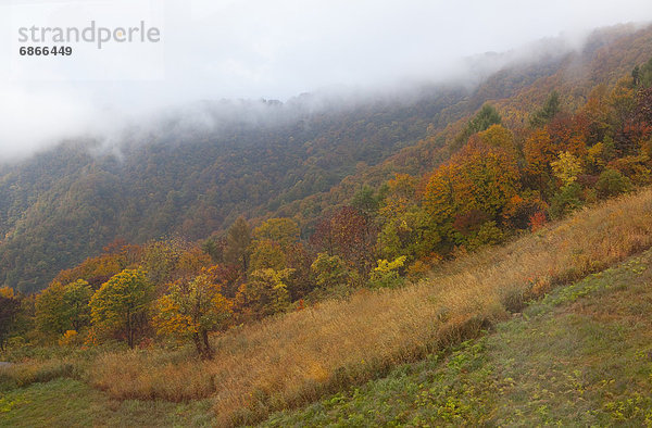 hoch  oben  Wolke  Herbst  Ansicht  Flachwinkelansicht  Berg  Winkel