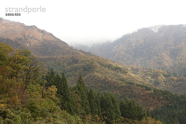 Nebel  Herbst  Berg