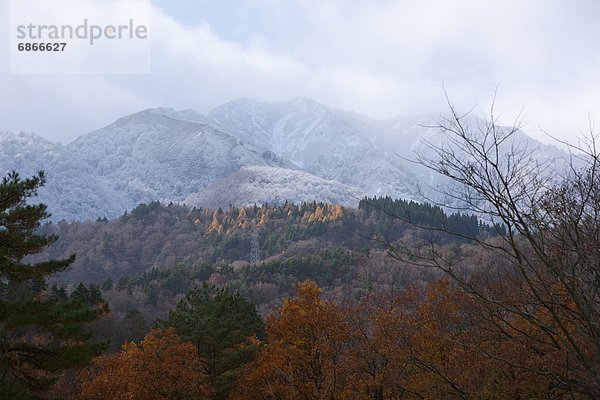 Berg  Herbst