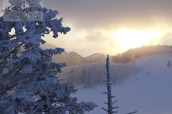 Morgendämmerung  Highlands