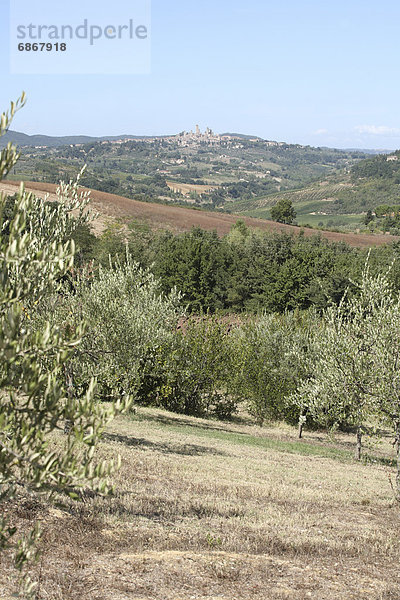 Florenz  Italien  San Gimignano