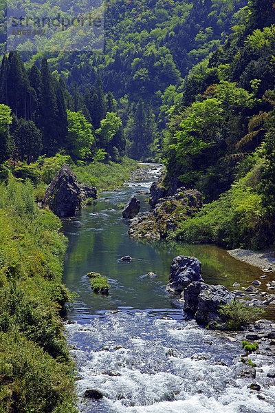 Mase River