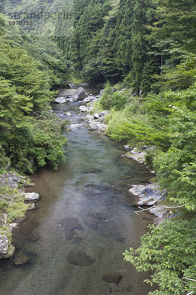 Honshu  Japan