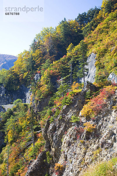 Honshu  Japan