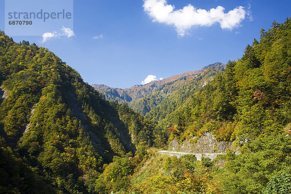 Honshu  Japan