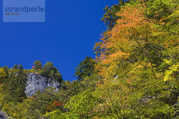 Honshu  Japan