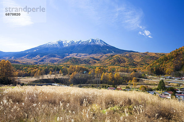 Herbst  Highlands  Nagano  Honshu  Japan