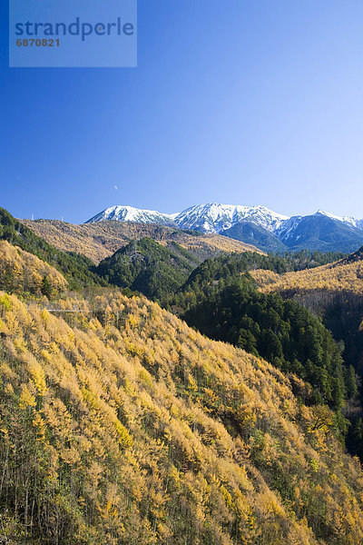 Berg  Herbst  Nagano  Honshu  Japan