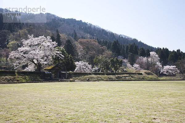 Kirsche  Ruine  blühen  Honshu  Japan