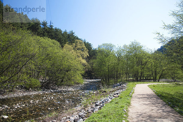 Berg  Weg  Fluss  vorwärts