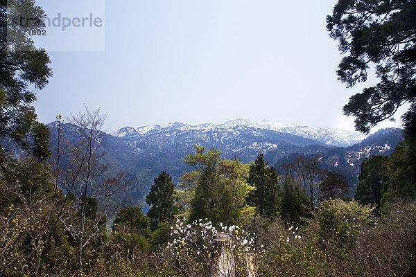 Berg  Wald  Schneedecke  Hintergrund