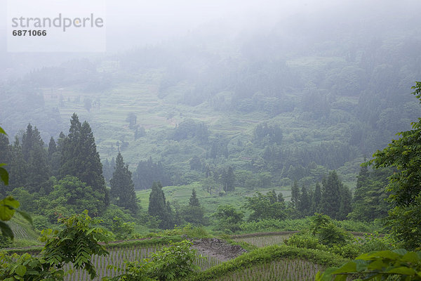 Niigata  Honshu  Japan