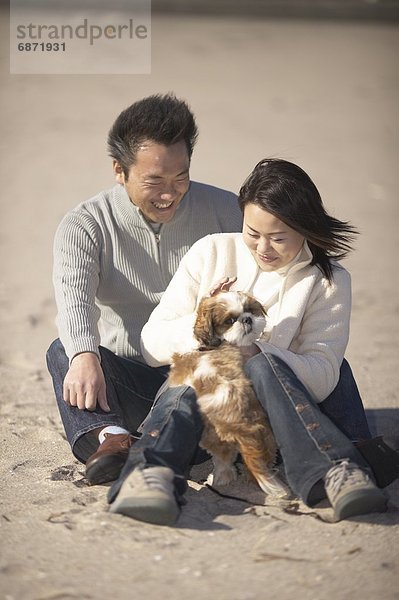 sitzend  lächeln  Strand  Hund