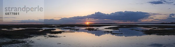 Stilleben  still  stills  Stillleben  Hafen  Europa  Abend  Sonnenuntergang  Großbritannien  über  Sumpf  England  West Sussex